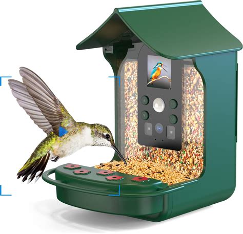 Amazon.com : NETVUE Birdfy® Smart Bird Feeder Camera, Bird Watching ...