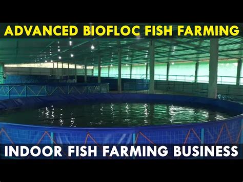 Advanced Biofloc Fish Farming Technology | Indoor Fish Farming Business