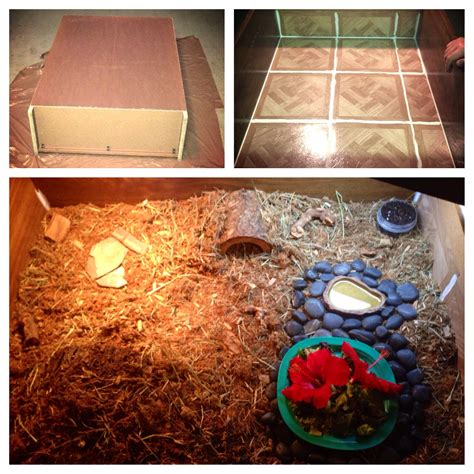 Image result for Tortoise Table