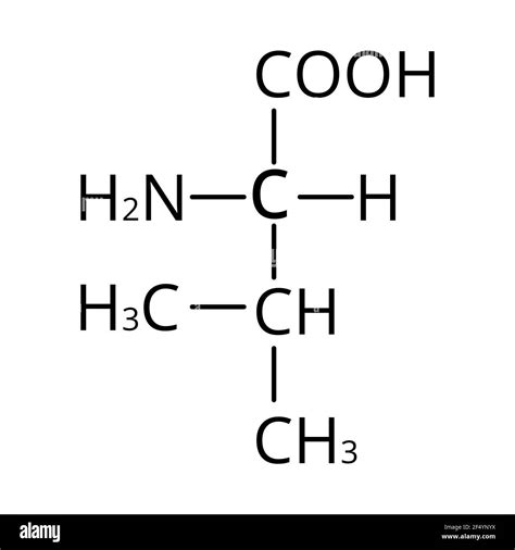 Valine Structure