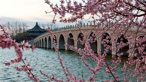是春天了！北京迈入气象学意义上的春天 植物园的花都开好了-图片频道