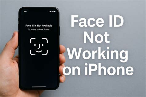 Image result for iPhone Back Camera Not Working