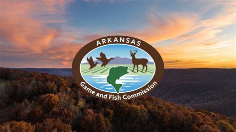 Elk • Arkansas Game & Fish Commission