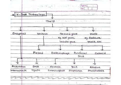 Image result for Biotechnology Process
