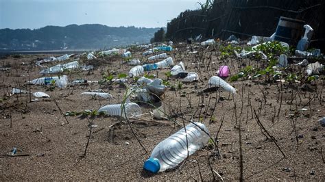 Plastic Pollution: Over 1 million bottles of water are sold worldwide every minute - The Environment