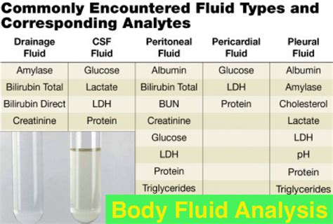 Image result for Body Fluid Types