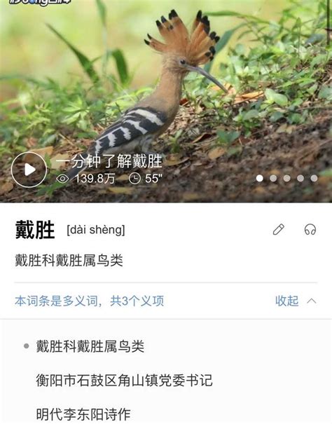 北京动物园动物说明牌上新了！增加了“给小朋友的小贴士”_手机新浪网