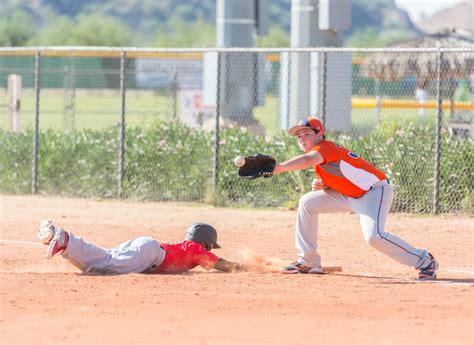 Baseball Netting 的图像结果
