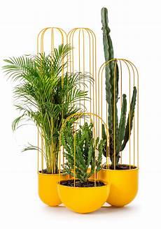 vasi per cactus cacti planters i vasi per cactus ispirati a frida kahlo vasi per cactus cacti planters i vasi per cactus ispirati a frida kahlo