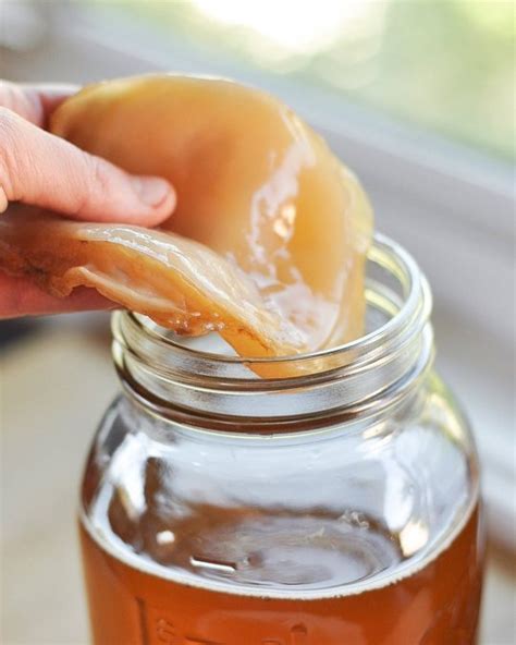Buy Kombucha Fermented Tea: Benefits, How to Make, Side Effects ...