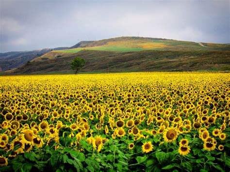 Visit Murdo: 2026 Travel Guide for Murdo, South Dakota | Expedia