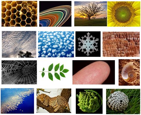 Image result for Simulated Reality Theories