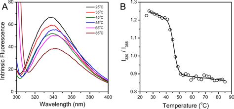 Sequential Events in the Irreversible Thermal Denaturation of Human ...