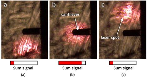 Image result for SPM Tutorial