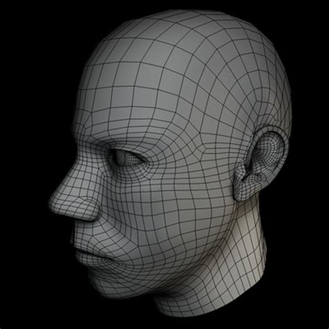 Maya Human Head 的图像结果