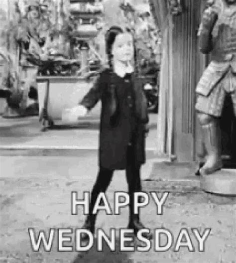 Happy Wednesday Good Morning GIF - HappyWednesday GoodMorning ...