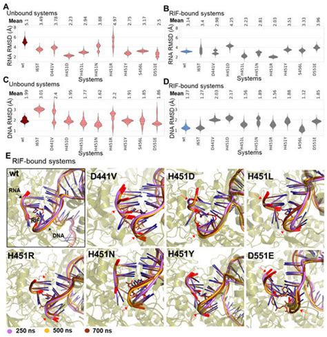 Investigation of Multi-Subunit Mycobacterium tuberculosis DNA-Directed ...