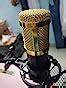 DEVICE OF URBAN INFOTECH Professional BM-800 Condenser Mic Set with Arm ...
