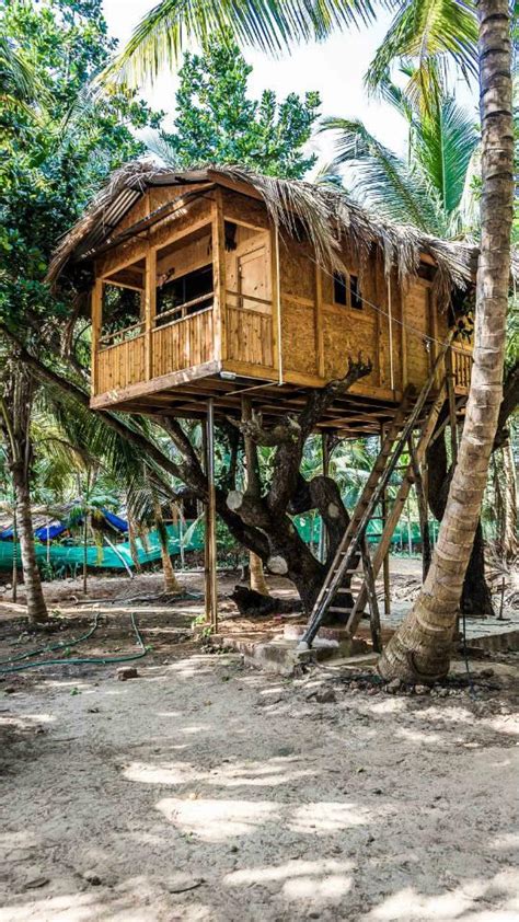 9 Stunning Tree Houses In Maharashtra For The Kid In You! | WhatsHot Pune