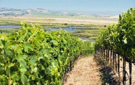 13 Best Resorts in Napa Valley for 2026 | U.S. News Travel