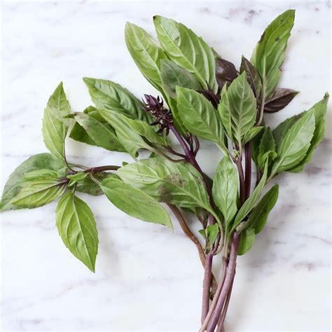 What is Thai Basil? + How To Use It In Recipes