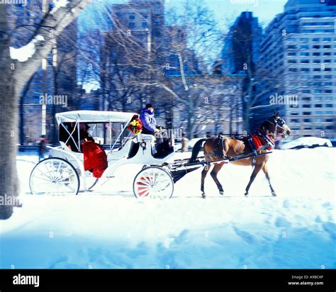 New York City Central Park Carriage Rides at Emma Sparks blog
