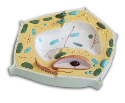 Image result for Plant Science Kit