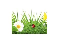 Image result for Bunnies Spring PNG