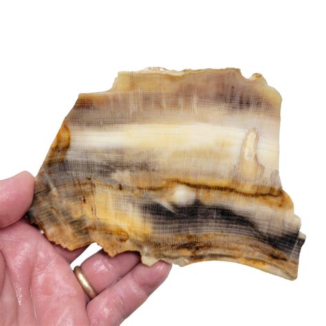 Lapidary Slabs 的图像结果