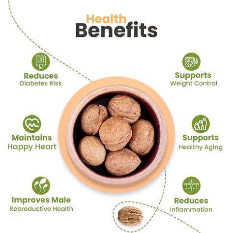 Buy 100% Natural California Walnuts Inshell - NUTRAJ