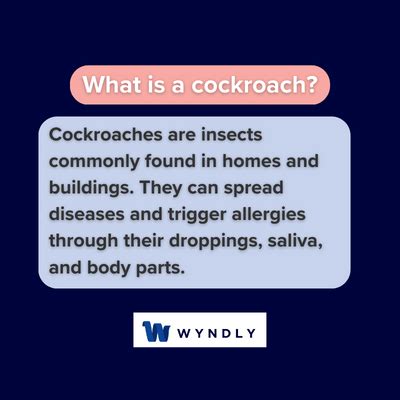 Cockroach Definition 的图像结果