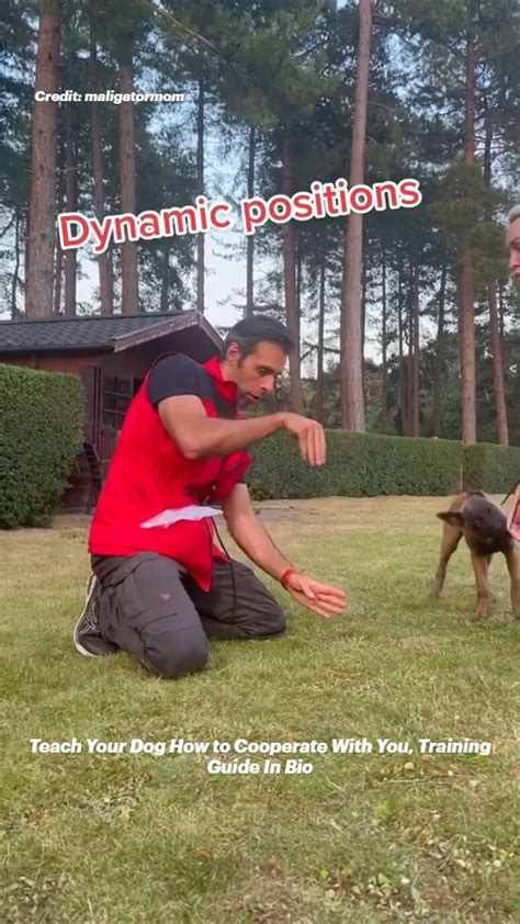 Image result for Dynamic Positioning Training