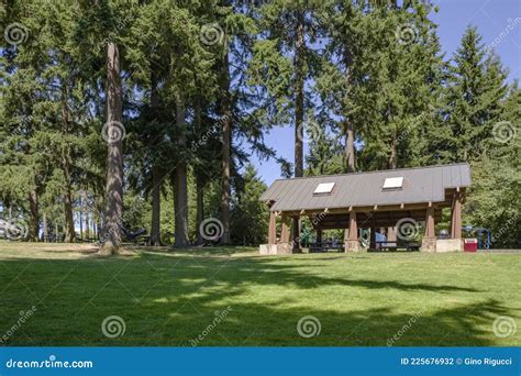 Angle Lake Park Seattle South Side WA Stock Photo - Image of pacific ...