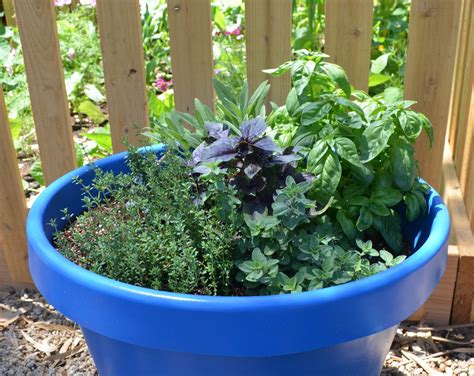 Outdoor Container Ideas Herbs Kitchen Herb Garden Infarrantly