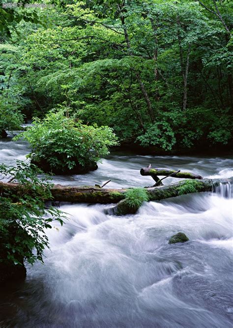 溪流水源0226-自然风景图-自然风景图库-溪流-图行天下素材网