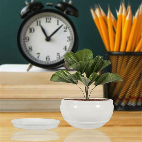 Lasaki Bowl Small White with Plate White R4 Ceramic Pots for Indoor ...