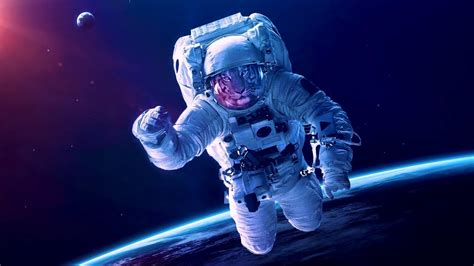 Image result for Solar Panel Delphi Programming