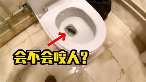 自驾西藏住宾馆，马桶惊现一只大老鼠，要是上厕所会不会咬屁股 | 30岁去旅行 - YouTube