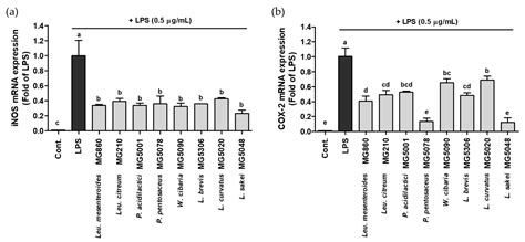 Antioxidant Activity and Probiotic Properties of Lactic Acid Bacteria