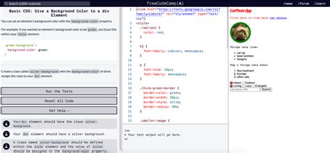 Image result for Freecodecamp Code Editor