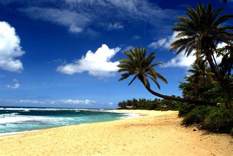 Hawaii Beach HD Wallpapers - Top Free Hawaii Beach HD Backgrounds ...