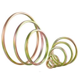 Ring Gasket – ASME B16.20 Ring Joint Gasket [RTJ ] Seal