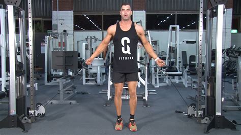 Cable Bicep Curl Single Arm at Charli Murnin blog