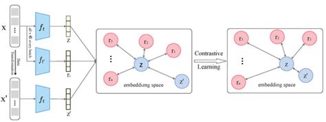 A Decoupled Contrastive Learning Framework for Backdoor Defense in ...