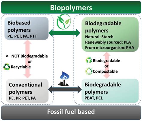 Bio-Based Polymers for Environmentally Friendly Phase Change Materials