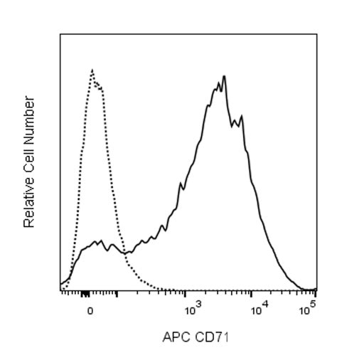 APC Mouse Anti-Human CD71