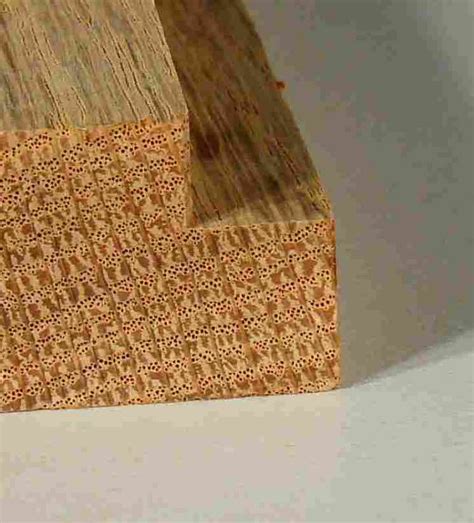 Router Bit Types 的图像结果