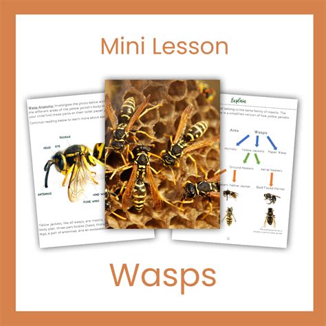 Image result for Life Lesson Yellow Sign