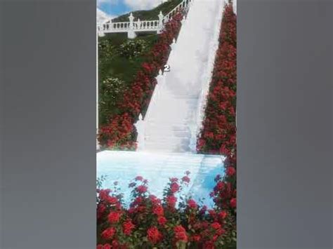 Image result for Dreamcore Pool