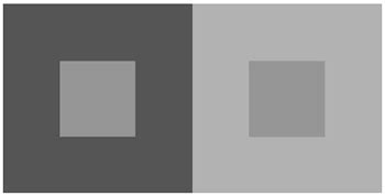 Image result for Brightness Constancy